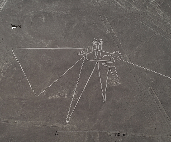 Nazca geoglyph