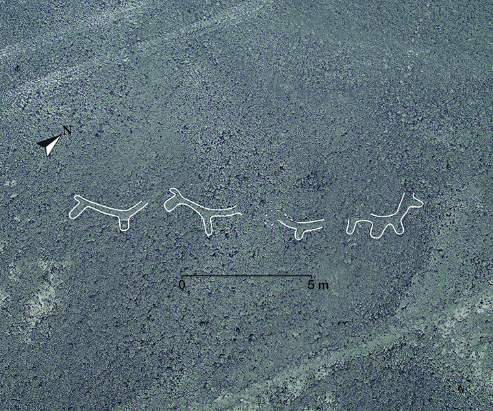 Nazca geoglyph